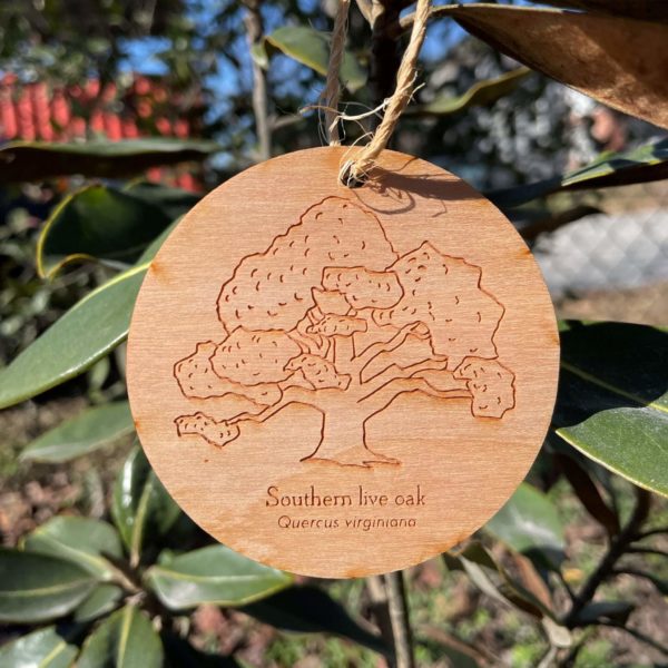 SOUTHERN LIVE OAK ORNAMENT