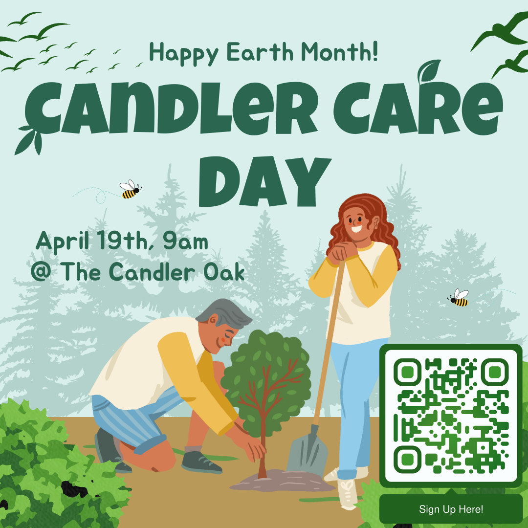 Candler Care Day | Savannah Tree Foundation