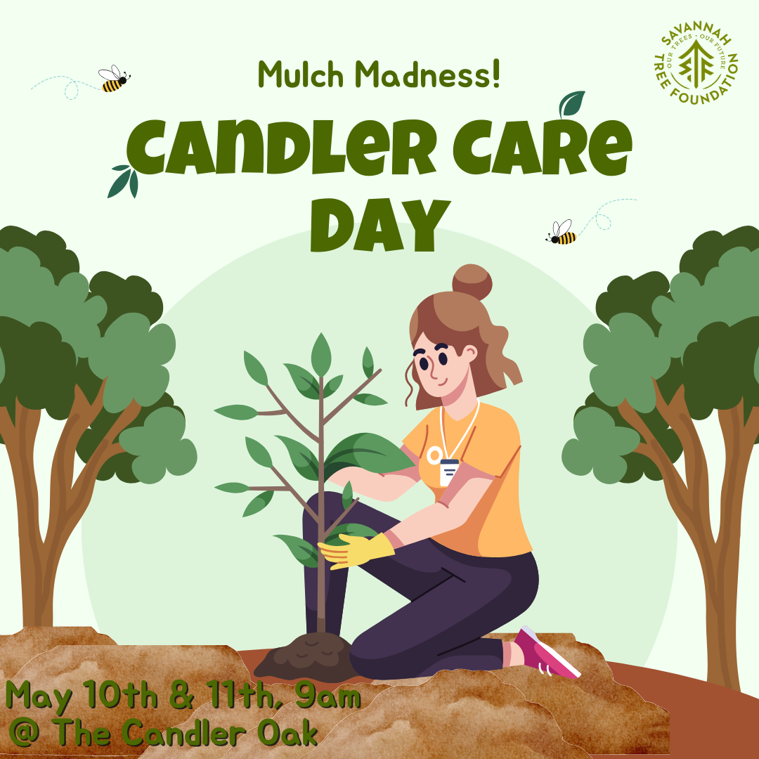 Candler Care Day | Savannah Tree Foundation