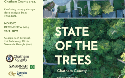 State of the Trees 2024